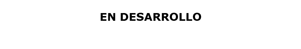  EN DESARROLLO